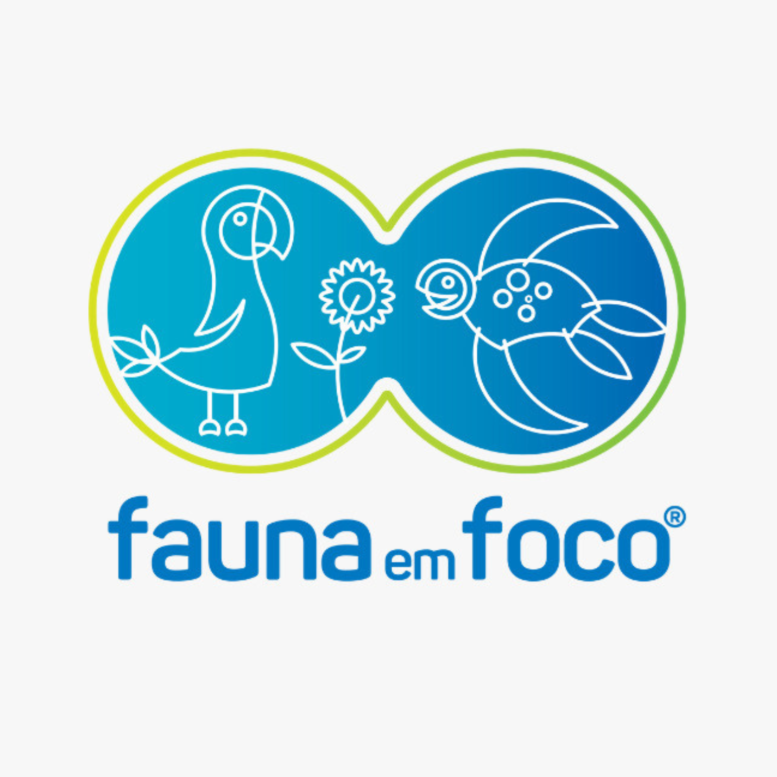 #0580EDUCAÇÃO DIGITAL CURSOS E TREINAMENTOS LTDA